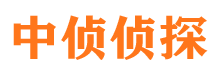 武清市侦探调查公司